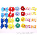 Colors Cat Dog Pet Head Flower Bow